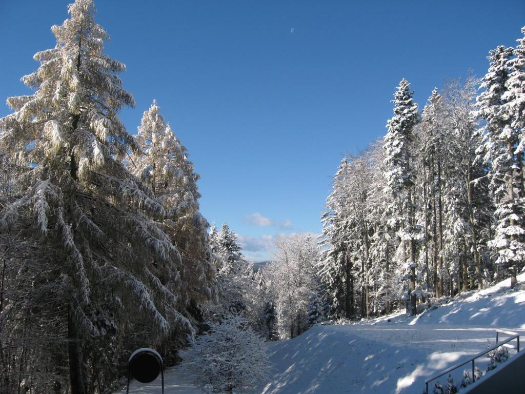 Hotel Zarja Hočko Pohorje Esterno foto
